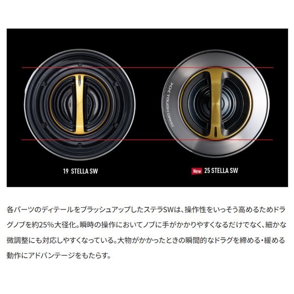 25 ステラ SW